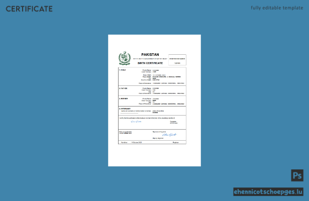 Geburtsurkunde aus Pakistan (Word und PDF), vollständig bearbeitbare Beispielvorschau